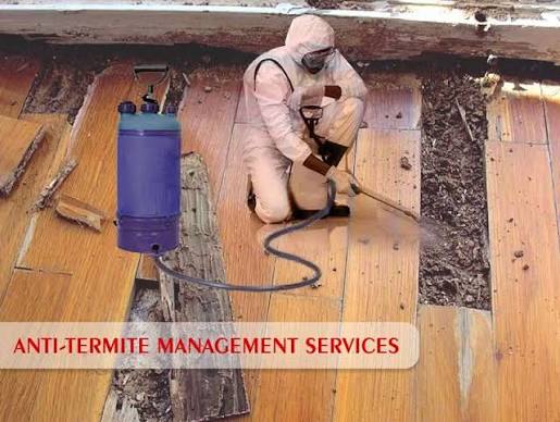 Termite treatment