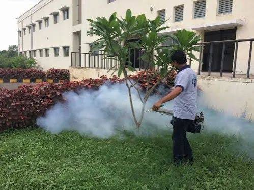 Residential pest control