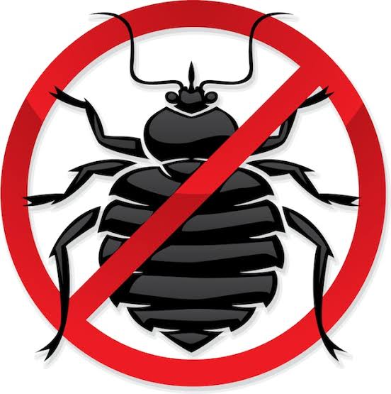 How Can I Get Rid of Bedbugs?