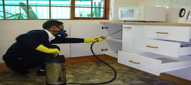 Fumigation services near me