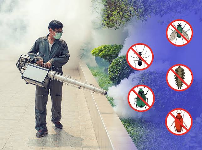 pest control near me